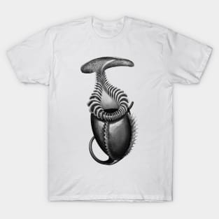 Botanical Carnivorous Plant Drawing Nepenthes Villosa Pitcher T-Shirt